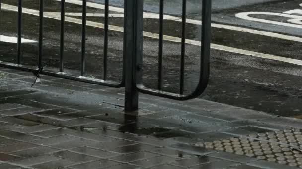 人们在雨中散步 专注于鞋子 下着毛毛雨滴在铺好的路上 4K视频 — 图库视频影像