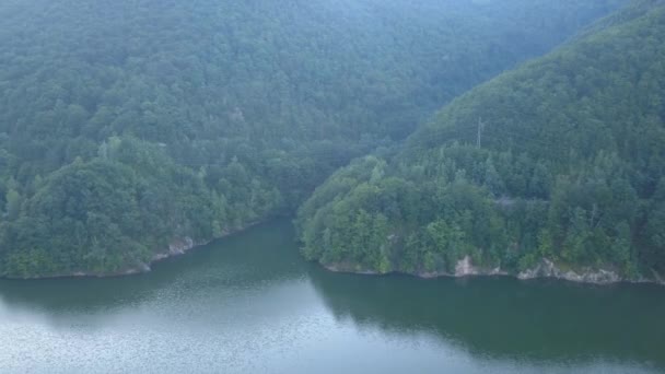 Ειρηνική Λίμνη Και Δασική Σκηνή Θέα Από Επανδρωμένο Πάνω Από — Αρχείο Βίντεο