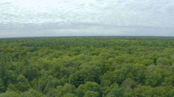 Drohnenblick Der Sich Einem Bewölkten Tag Rückwärts Über Ein Großes — Stockvideo