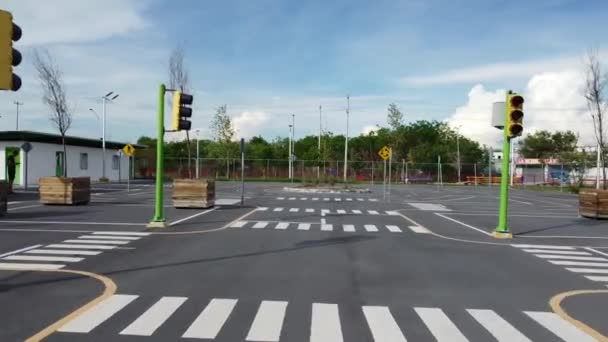 Driving Teaching Childs Street Lights Stops — Stock Video