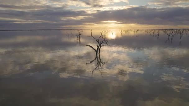 Прекрасний Захід Сонця Озера Менінді Nsw Австралія — стокове відео