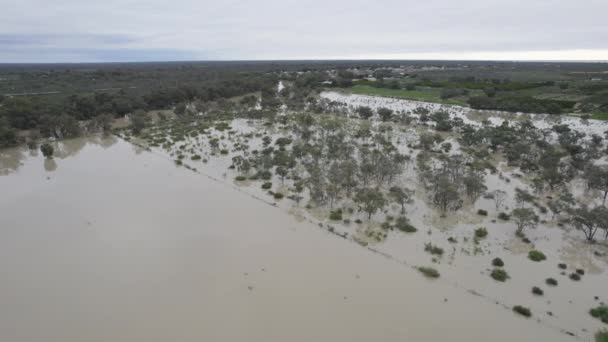 Apa Răspândește Câmpiile Inundabile Lângă Menindee New South Wales Australia — Videoclip de stoc