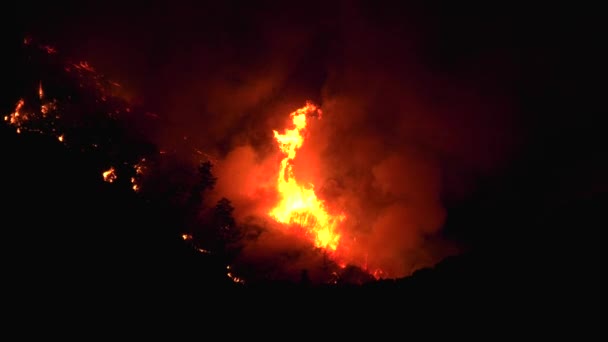 Fuego Salvaje Ruge Través Cañón Oscuro Vista Nocturna — Vídeo de stock