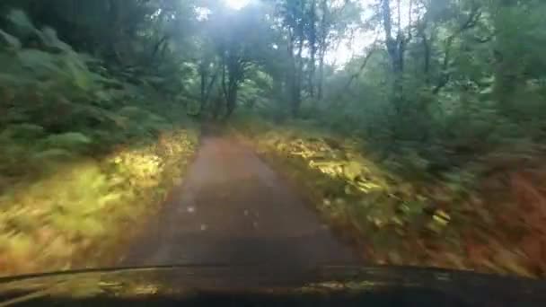 Pov Car Bonnet Dashcam Footage Headlights Small Enclosed Countryside Road — стоковое видео