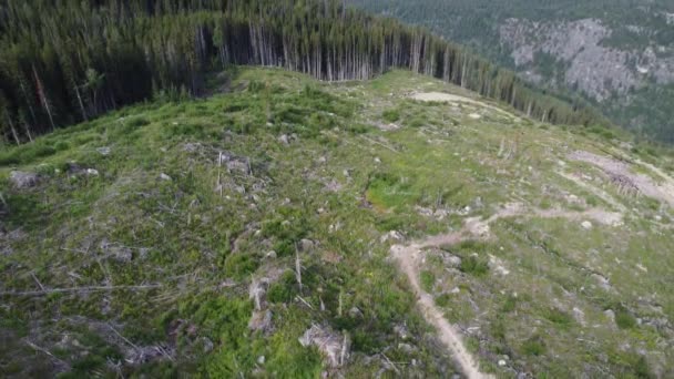 Berglandschap Met Hydro Elektrische Energie Dam Met Bomen Rivier Canada — Stockvideo