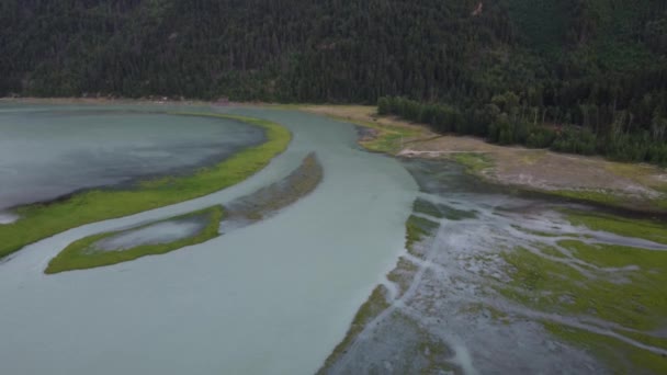 Afdalende Antenne Drone Met Brede Rivier Bomen Deep Valley Canada — Stockvideo