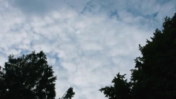 Hyperlapsus Timelapse Plusieurs Couches Nuages Déplaçant Rapidement Avec Des Arbres — Video