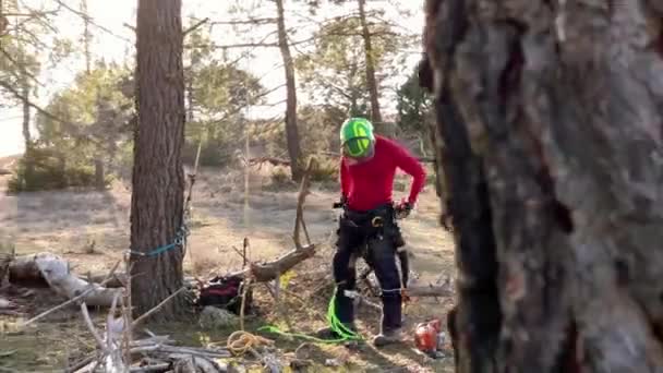 High Altitude Pruning Team Made One Woman One Man Getting — Stock Video