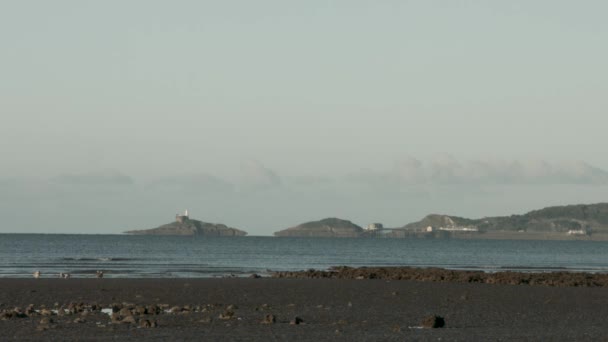 Shot Mumbles Lighthouse Swansea Bay Beautiful Calm Sunrise Seagull Foreground — Stock video