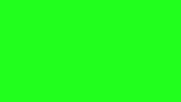 Check Mark Icon Animation White Black Check Mark Green Screen — Stock Video