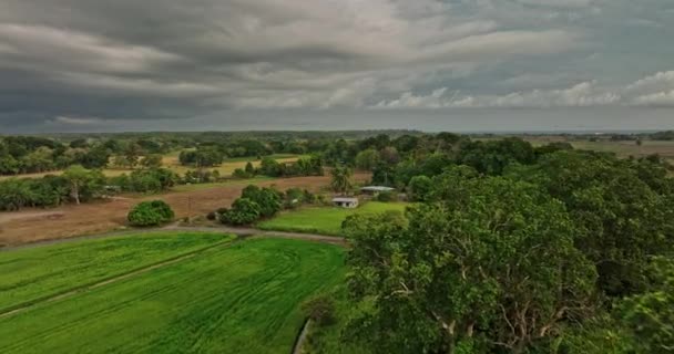 Guarumal Panama Aerial Laagbouw Drone Flyover Landbouwgrond Naar Skyline Met — Stockvideo