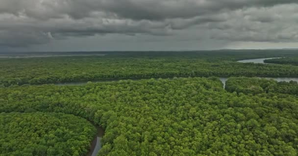 Pedregalパナマ航空V4低高度の飛行場とプラタナル川周辺では 嵐の日に高密度の植生を持つ美しい緑豊かなマングローブの森をキャプチャ マヴィックで撮影3 Cine 2022年4月 — ストック動画
