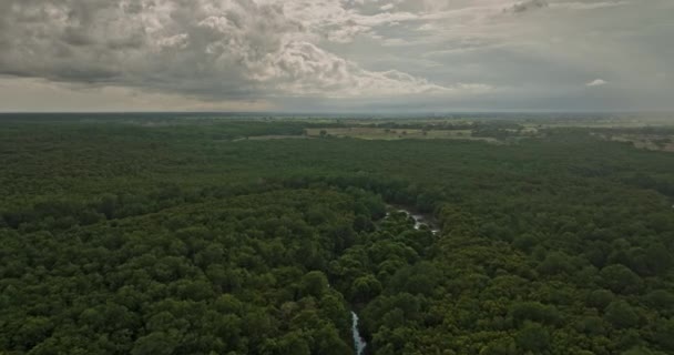 Pedregal Panama Aerial Natural Landscape View Drone Flyover Nedotčený Mangrovový — Stock video