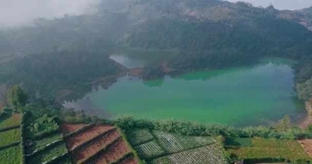 湖の名前はディエン県のTelaga Warna インドネシア中部のJavaです 空中射撃だ 藻のせいで水は青く — ストック動画