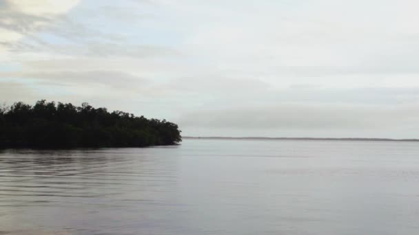 Cloudy Everglades Mangroves Grey Somber Ocean Morning Tripod Shot Gulf — 비디오