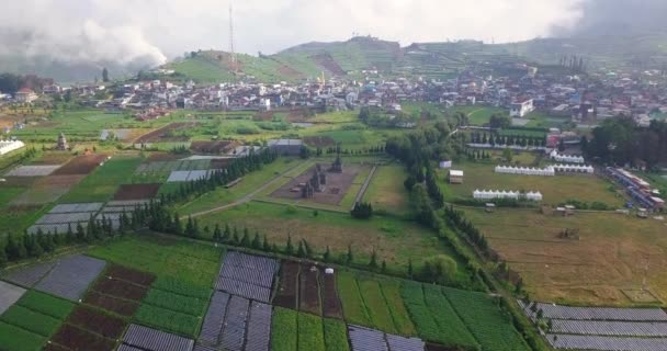 Temple Arjuna Est Situé Sur Plateau Dieng Centre Java Indonésie — Video