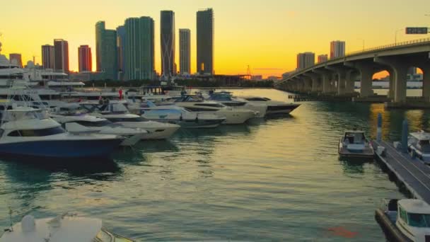 Miami Florida Marinasındaki Yatların Günbatımında Çekilmiş Klibi Miami Skyline Manzaralı — Stok video