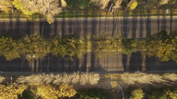 Luftaufnahme Nach Unten Über Den Verkehr Auf Der Boulevard Straße — Stockvideo