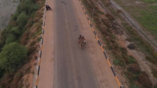 Drone Footage Shows Road Sindh Stretches Horizon Bordered Shrubbery Both — Stock Video