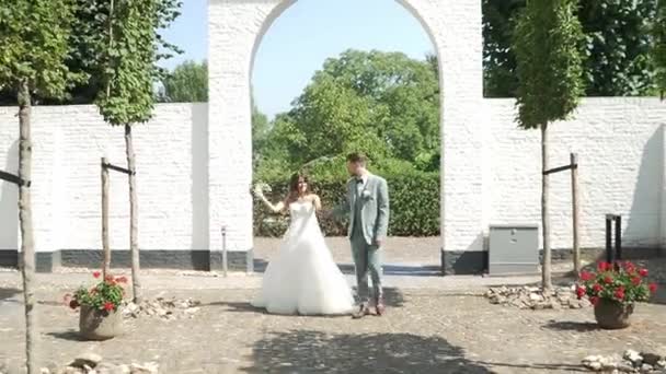 幸福的新婚夫妇手牵手漫步在荷兰索恩 — 图库视频影像