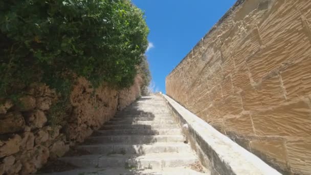 Subiendo Las Escaleras Piedra Día Soleado Grabación Cámara Lenta — Vídeos de Stock