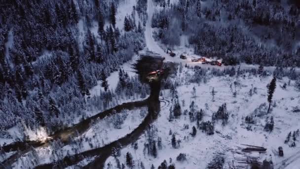 Equipo Forestal Drones Aéreos Movimiento Invierno Amanecer Temprano Mañana Antes — Vídeos de Stock