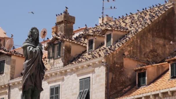 Hırvatistan Dubrovnik Kentindeki Gunduliev Spomenik Heykeli Nin Arka Planında Güvercinler — Stok video