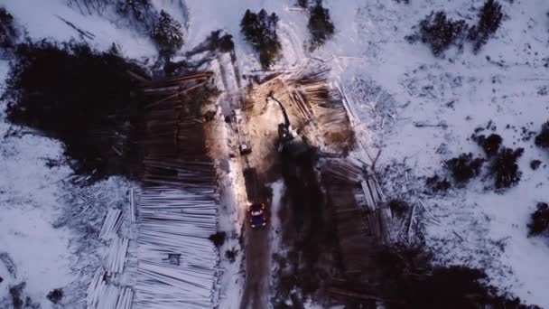 産業用木材伐採業界の上空からの安定した空中ドローンは 冬に移動し 日の出前の早朝に — ストック動画