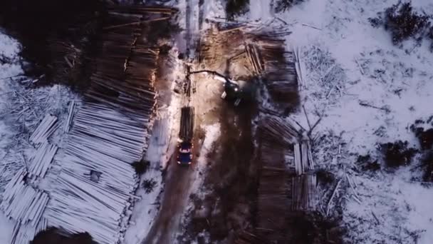 Dramatische Top Close Luchtfoto Van Hout Manipulator Het Laden Van — Stockvideo