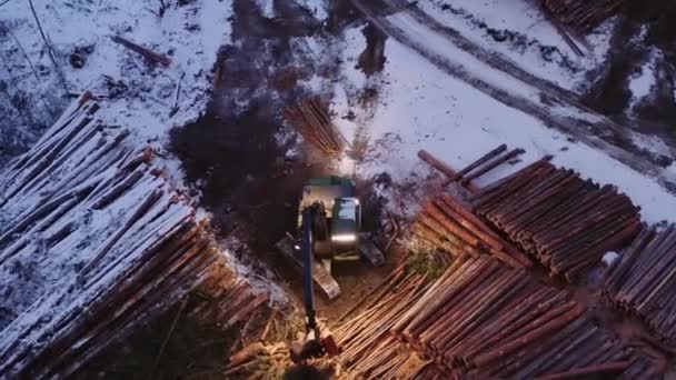 産業用木材マニピュレータとして劇的な組成の上からドローンの時計や木材伐採キャンプでカット成熟した松の木の雪に覆われた杭を通してソートを見た — ストック動画