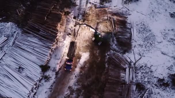 Drohnenkräne Von Oben Nach Unten Während Der Holzmanipulator Holztransporter Von — Stockvideo