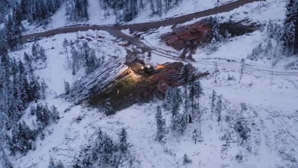 冬の木材伐採キャンプで雪に覆われた成熟した松の木の山を介して分類する木材マニピュレータトラクターに向かってドローンは劇的に移動日の出前の夜明け — ストック動画