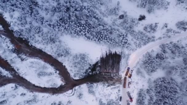 雪に覆われた冬の伐採キャンプで未舗装の道路に成熟した松の木のドライブでロードされた空中ドローンショット18ホイール 夜明けに日の出前に — ストック動画