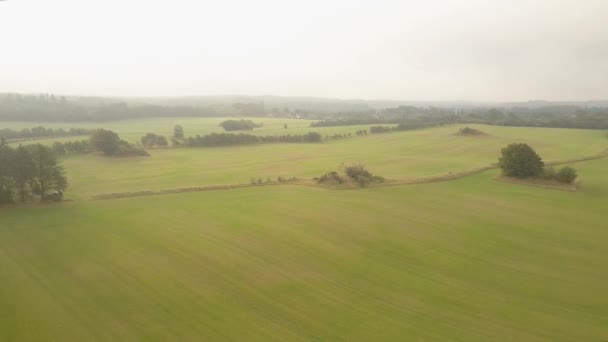 広大な緑のフィールドと霧の日に保存されたパトリモイン古墳の空中ビュー — ストック動画