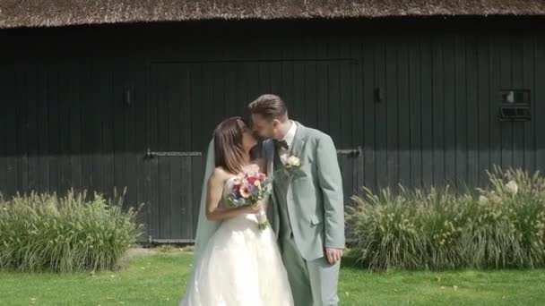 新婚夫妇肖像视频4K — 图库视频影像