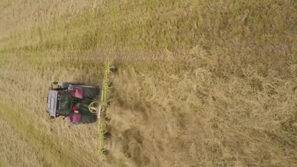 Vertical Shot Tractor Pulling Rotary Rakes Raking Tedding Hay Farmland — Stock Video