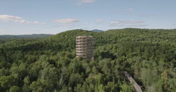 Krásná Dřevěná Věž Turistické Stezky Hory Stromy Nádherný Slunečný Letní — Stock video