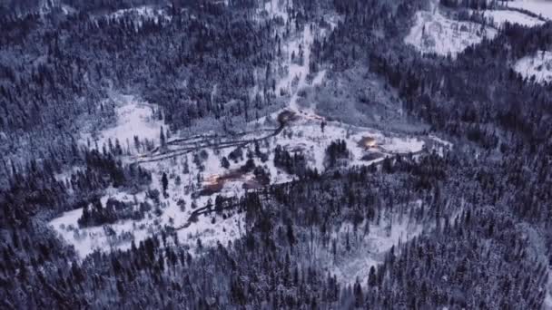 空中ドローンの後方と離れて 雪の中で木材伐採キャンプから飛んで撮影北部地域で成熟した松の木の森 日の出 青の時間 夜明け前に覆われた 大規模シリーズの4K部分 — ストック動画