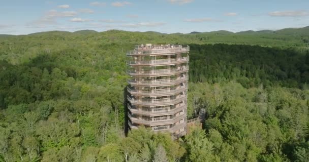 Schöner Holzturmwanderweg Berge Und Bäume Weite Landschaft Herrlich Sonniger Sommertag — Stockvideo