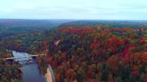Vista Aérea Drone Das Cores Outono Floresta Ponte Sigulda Gauja — Vídeo de Stock