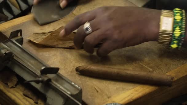 Процесс Изготовления Кубинской Сигары Вручную Сигаровой Фабрике Майами Маленькая Гавана — стоковое видео