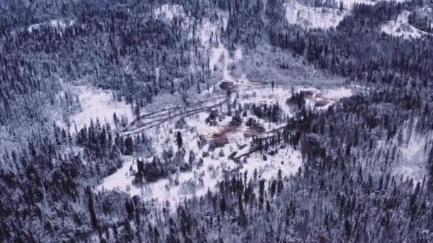 Drohne Flog Schneebedecktem Kiefernwald Norden Auf Holzfällerlager — Stockvideo