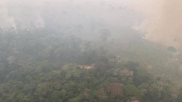 Olhando Helicóptero Para Paisagem Ardente Floresta Amazônica — Vídeo de Stock