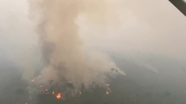 Olhando Helicóptero Como Floresta Amazônica Destruída Por Incêndios Florestais — Vídeo de Stock