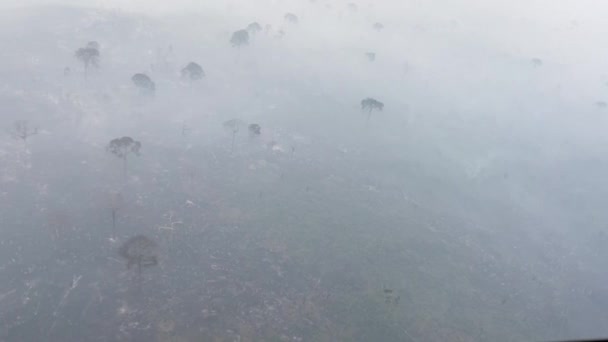 Fumaça Enche Céu Como Floresta Amazônica Destruída Por Incêndios Florestais — Vídeo de Stock