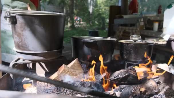 Preparando Comida Fogata Campamento Salvaje Comida Cocinada Una Fogata Viaje — Vídeo de stock