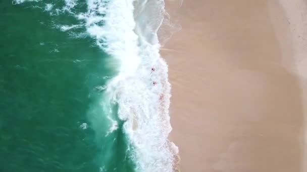 Drone Bovenaanzicht Van Drie Zwemmers Het Strand Sydney Australië — Stockvideo