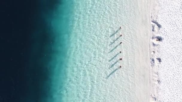 Drone Légi Felvétel Emberek Sziluettek Egy Türkiz Lagúna Fraser Island — Stock videók