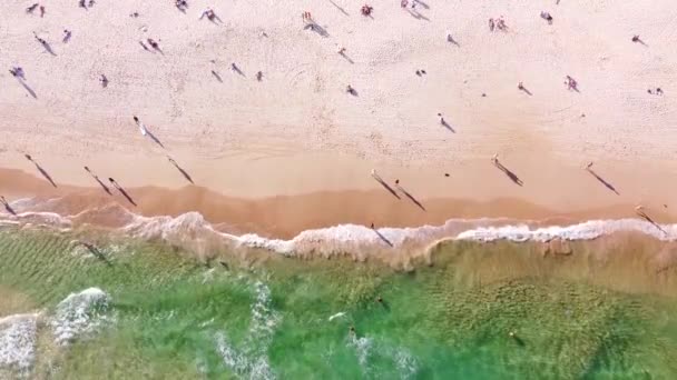 Вид Зверху Людей Які Гуляють Уздовж Знаменитого Пляжу Бонді Сіднеї — стокове відео