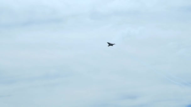 Saab Gripen Jas Airshow Passado Alta Velocidade Com Vários Rolos — Vídeo de Stock